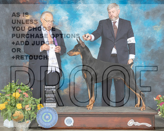 Doberman Pinscher #17 Sat G4 Judge John Wade_MMJ_2030_SanAnonio2021_HR3
