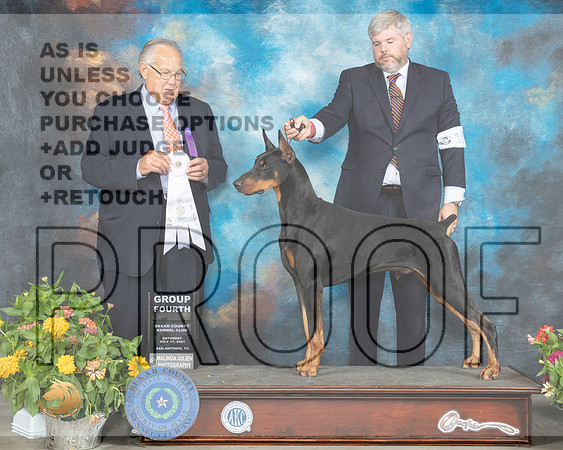 Doberman Pinscher #17 Sat G4 Judge John Wade_MMJ_2031_SanAnonio2021_HR3