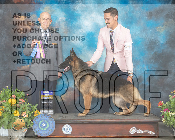 German Shepherd Dog #12 Sat BOB Judge Ken Buxton R_MMJ_2065_SanAnonio2021_HR3