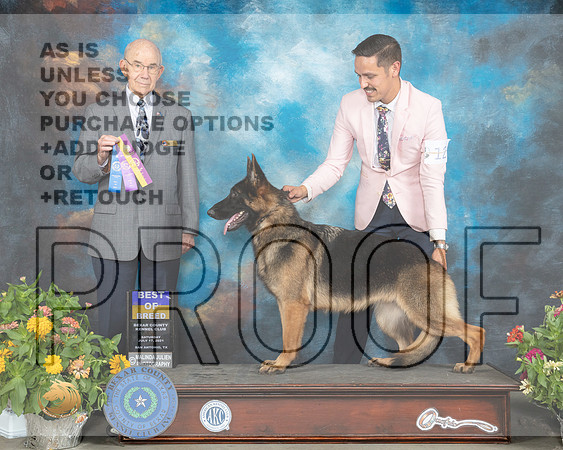 German Shepherd Dog #12 Sat BOB Judge Ken Buxton R_MMJ_2068_SanAnonio2021_HR3