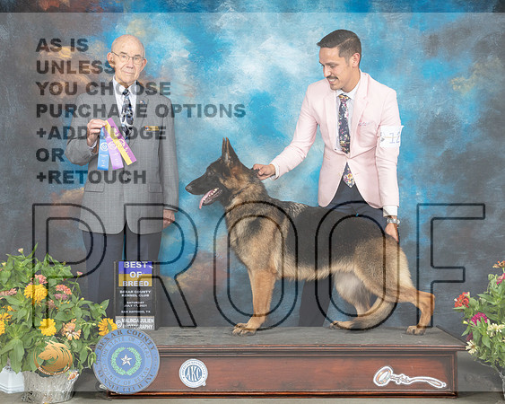 German Shepherd Dog #12 Sat BOB Judge Ken Buxton R_MMJ_2069_SanAnonio2021_HR3