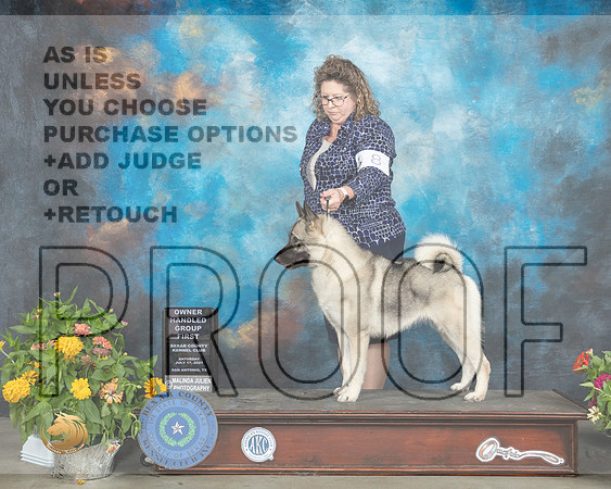 Keeshonden #8 Sat OHG1 Judge Robert Hutton_MMJ_2116_SanAnonio2021_HR3