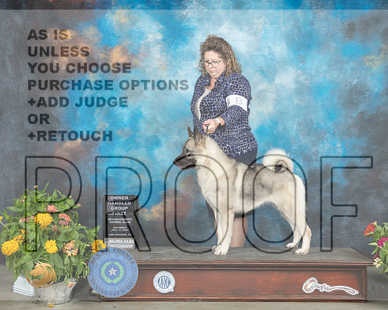 Keeshonden #8 Sat OHG1 Judge Robert Hutton_MMJ_2117_SanAnonio2021_HR3