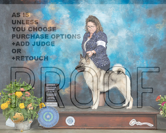 Keeshonden #8 Sat OHG1 Judge Robert Hutton_MMJ_2118_SanAnonio2021_HR3