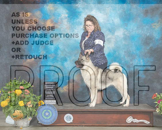 Keeshonden #8 Sat OHG1 Judge Robert Hutton_MMJ_2120_SanAnonio2021_HR3