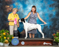 Pointer #7 Sat OHG1 Judge Judy Brown