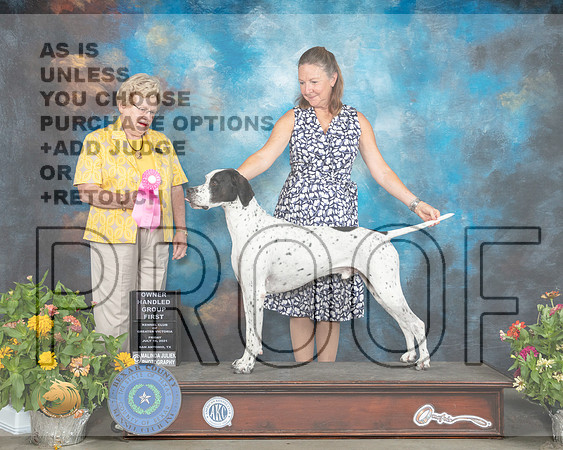 Pointer #7 Sat OHG1 Judge Judy Brown_MMJ_1961_SanAnonio2021_HR3