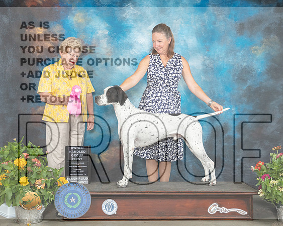 Pointer #7 Sat OHG1 Judge Judy Brown_MMJ_1962_SanAnonio2021_HR3