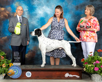 Pointer #7 Sat OHGRBIS Judge Ken Buxton