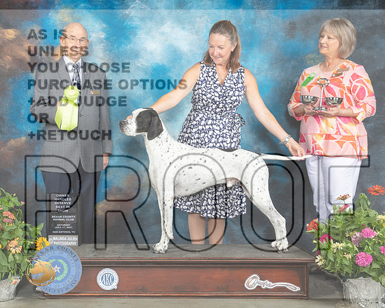 Pointer #7 Sat OHGRBIS Judge Ken Buxton_MMJ_2107_SanAnonio2021_HR3