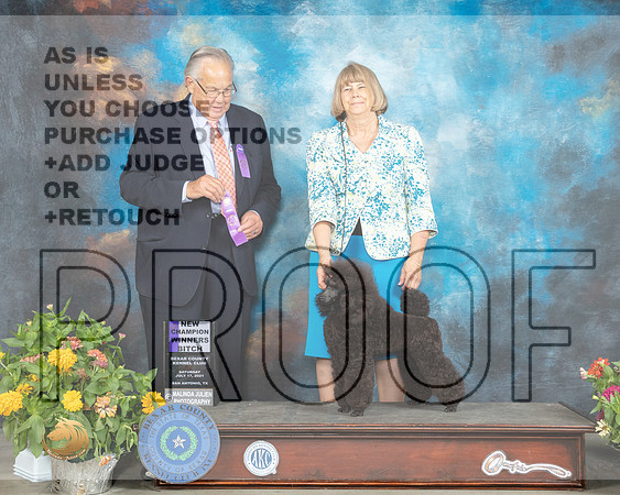 Poodle Miniature #6 Sat BOW Judge John Wade_MMJ_2040_SanAnonio2021_HR3