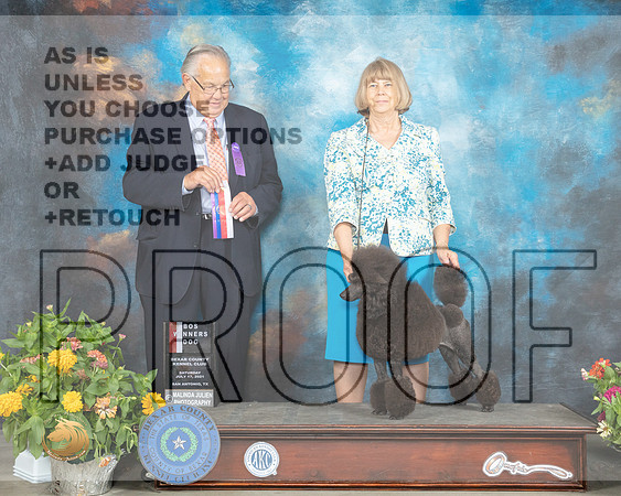 Poodle Miniature #7 St BOW Judge John Wade_MMJ_2033_SanAnonio2021_HR3