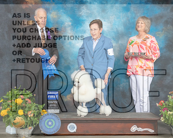 Poodle Miniature #8 Sat G1 Judge Robert Hutton_MMJ_1968_SanAnonio2021_HR3