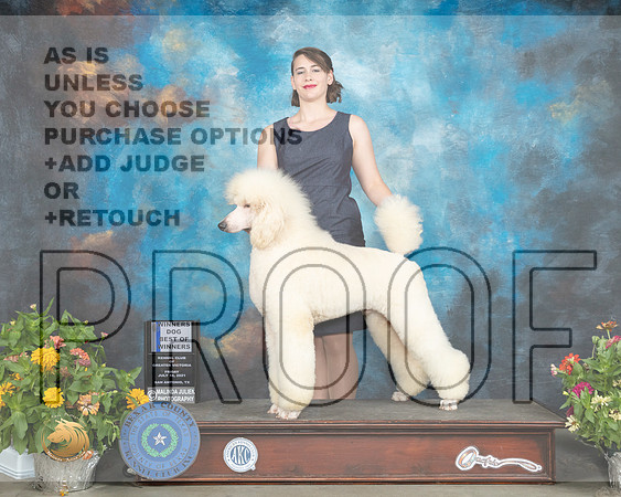Poodle Std #9 Fri BOW Judge Linn Brown_MMJ_1957_SanAnonio2021_HR3