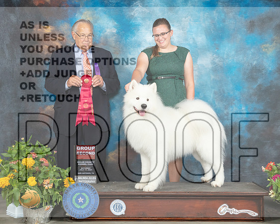 Samoyed #9 Sat G2 Judge John Wade_MMJ_2018_SanAnonio2021_HR3
