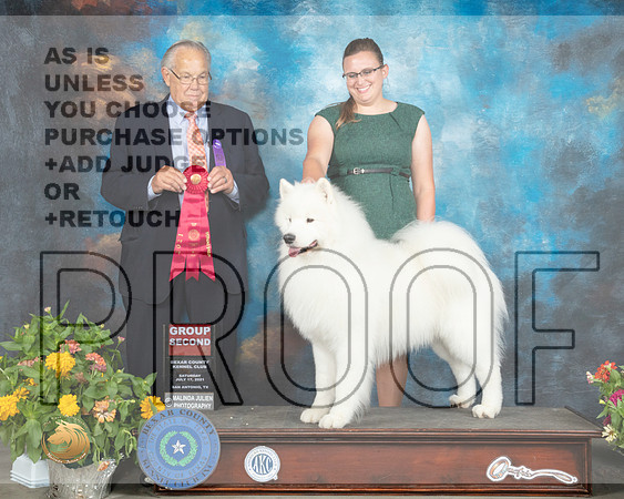Samoyed #9 Sat G2 Judge John Wade_MMJ_2023_SanAnonio2021_HR3