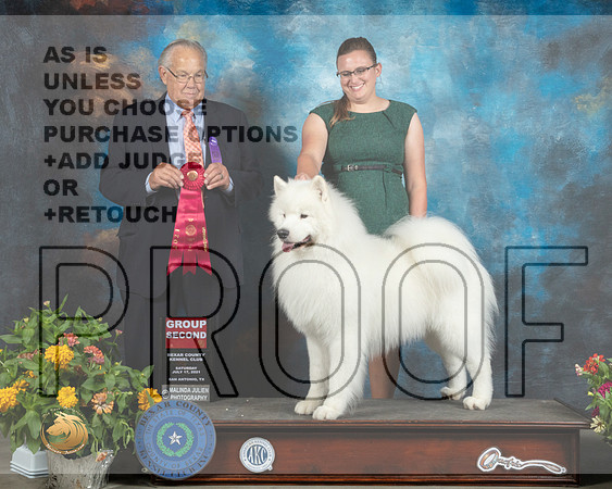 Samoyed #9 Sat G2 Judge John Wade_MMJ_2024_SanAnonio2021_HR3