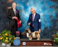 Tibetan Spaniel #9 Sat G2 Judge Robert Hutton