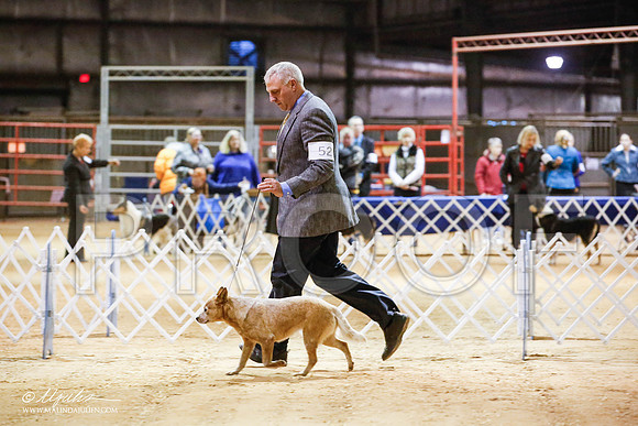 _JN_4743-2-GlenRoseJan2015-HR3