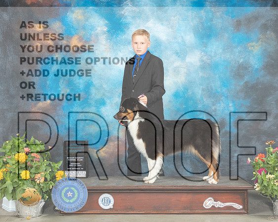Australian Shepherd #30 Sat NovJr_MMJ_1850_SanAnonio2021_HR3