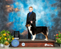 Australian Shepherd #30 Sat NovJr
