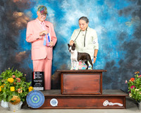 Boston Terrier #28 Sat BOW Judge Johnny Shoemaker