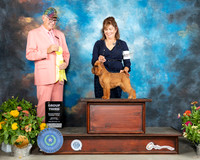 Brussels Griffon #6 Sat G3 Judge Johnny Shoemaker