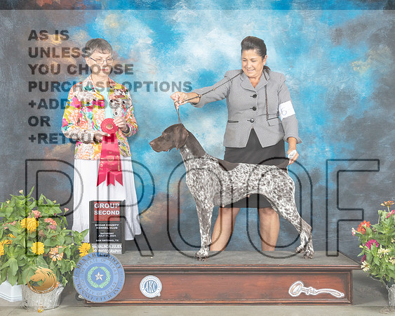 German Shorthaired Pointer #6 Sat G2 Judge Donna Buxton_MMJ_1932_SanAnonio2021_HR3