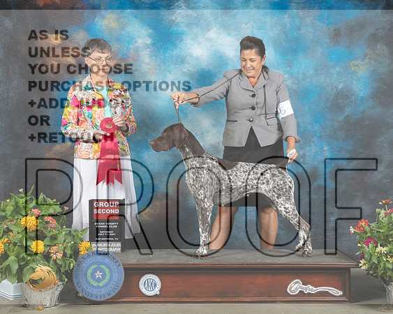 German Shorthaired Pointer #6 Sat G2 Judge Donna Buxton_MMJ_1933_SanAnonio2021_HR3