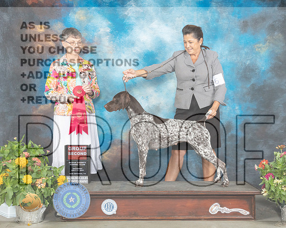 German Shorthaired Pointer #6 Sat G2 Judge Donna Buxton_MMJ_1930_SanAnonio2021_HR3