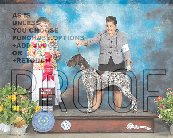 German Shorthaired Pointer #6 Sat G2 Judge Donna Buxton_MMJ_1934_SanAnonio2021_HR3