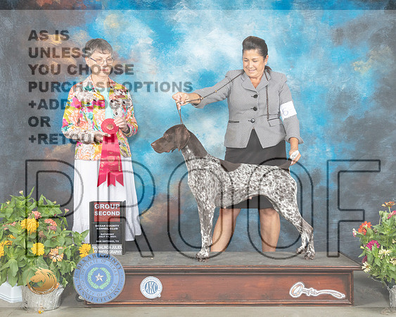German Shorthaired Pointer #6 Sat G2 Judge Donna Buxton_MMJ_1935_SanAnonio2021_HR3