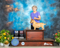Norwich Terrier #? Sat BOW OHBOB
