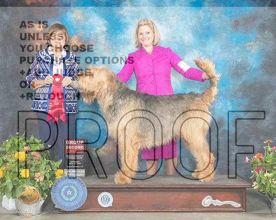 Otterhound #7 Sat G2 Judge Linn Brown_MMJ_1885_SanAnonio2021_HR3