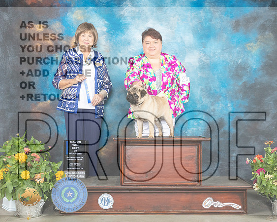 Pug #23 BOW Judge Linn Brown_MMJ_1909_SanAnonio2021_HR3
