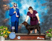 Boykin #5 Sun WD Judge Johnny Shoemaker
