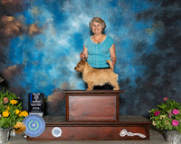 Norwich Terrier #5 SAT BOW Judge Robert Hutton R