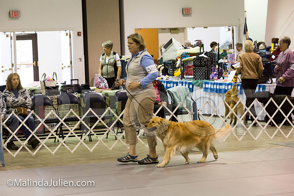 Msqt_2018MJJL9842-HR3