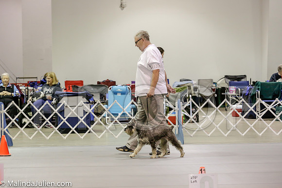 Msqt_2018_ST_9518-HR3