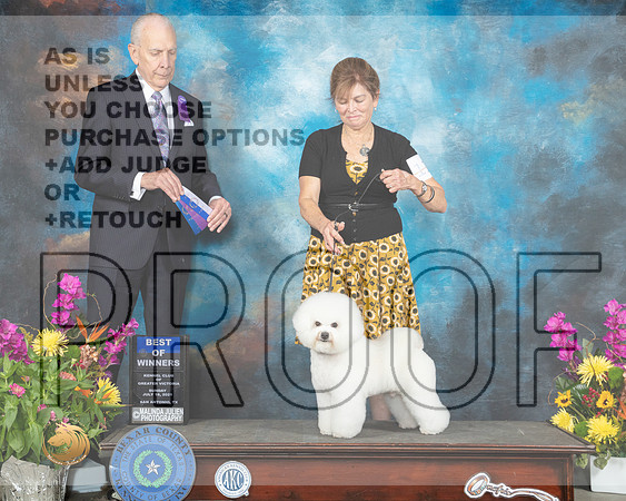 Bichon #11 Sun BOW Judge Robert Hutton_MMJ_2472_SanAnonio2021_HR3