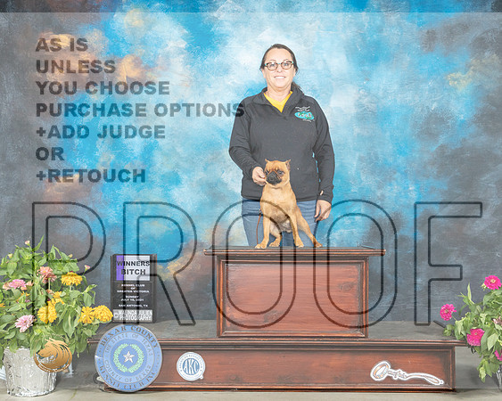Brussels Griffon #10 Sun WB Judge Johnny Shoemaker_MMJ_2354_SanAnonio2021_HR3