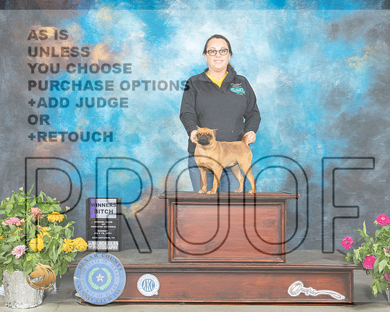 Brussels Griffon #10 Sun WB Judge Johnny Shoemaker_MMJ_2353_SanAnonio2021_HR3