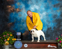 Bulldog #7 Sun BOW Judge Judy Brown