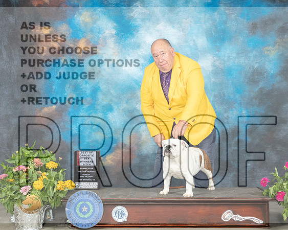 Bulldog #8 Sun BOS Judge Judy Brown_MMJ_2390_SanAnonio2021_HR3