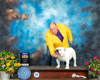 Bulldog #9 Sun BOB Judge Judy Brown