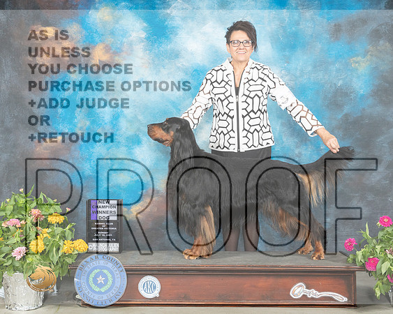 Gordon Setter #7 FRI WD Judge Lori Nelson_MMJ_2357_SanAnonio2021_HR3