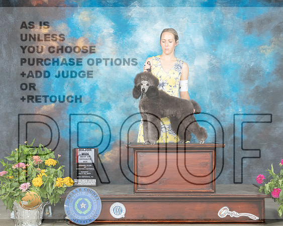 Poodle Miniature #7 Sun BOS Judge Johnny Shoemaker_MMJ_2370_SanAnonio2021_HR3