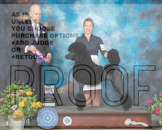 Poodle Std #17 Sun BOS Judge Robert Hutton_MMJ_2368_SanAnonio2021_HR3