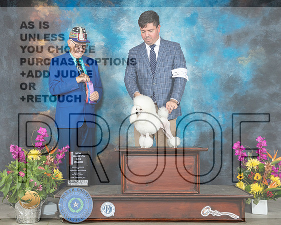 Poodle Toy #12 Sun BOWBOS Judge Johnny Shoemaker_MMJ_2432_SanAnonio2021_HR3