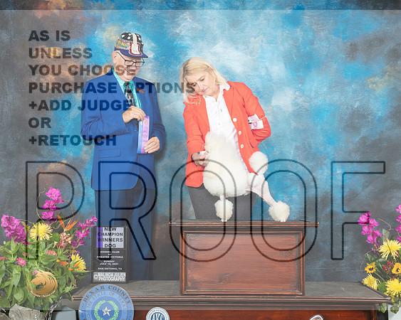Poodle Toy #7 Sun WD Judge Johnny Shoemaker_MMJ_2445_SanAnonio2021_HR3